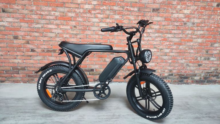 Detailopname van een fatbike achternaaf met versnellingsnaaf en remschijf.